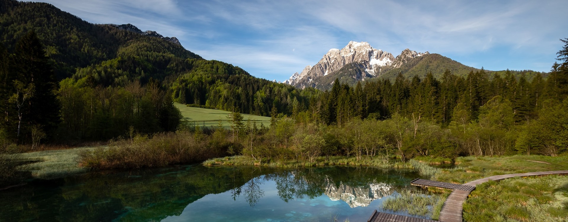 Zelenci
